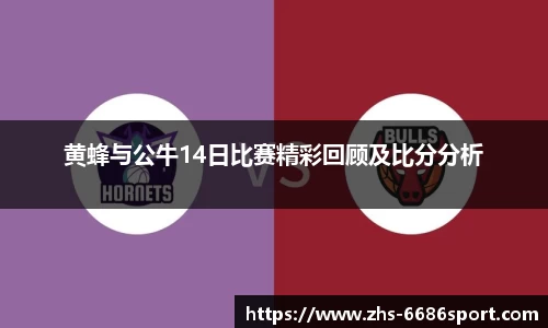 6686体育APP