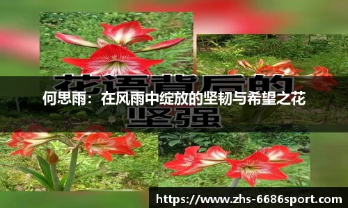 6686体育